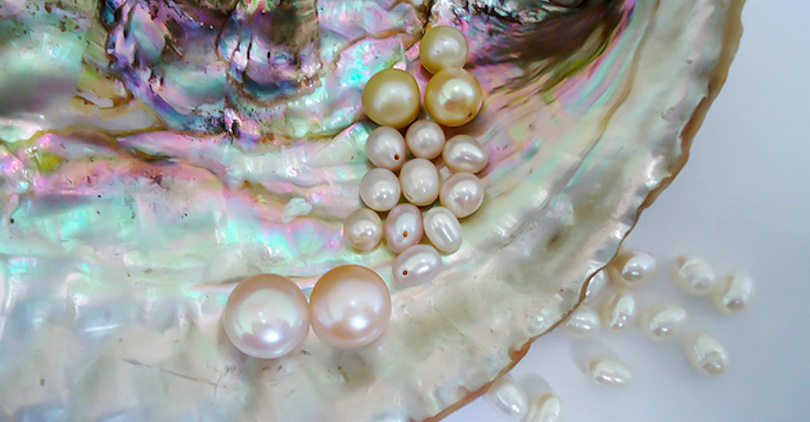 How Do Oysters Create Different Color Pearls